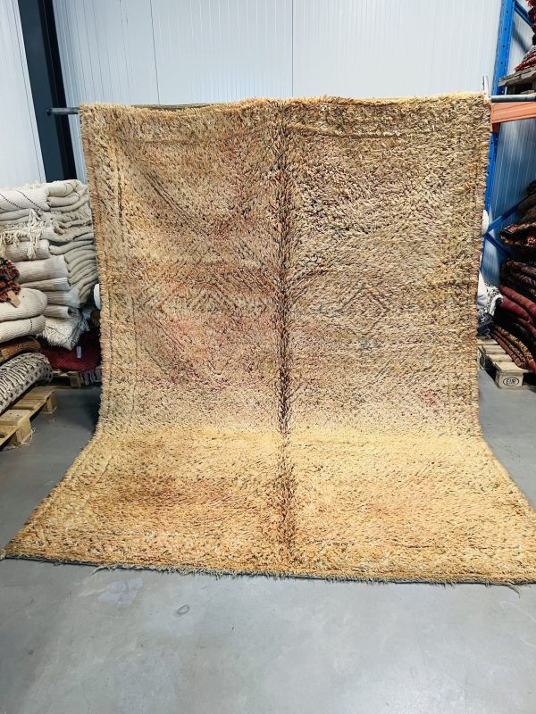 Beni Mguild Rug 286 x 210