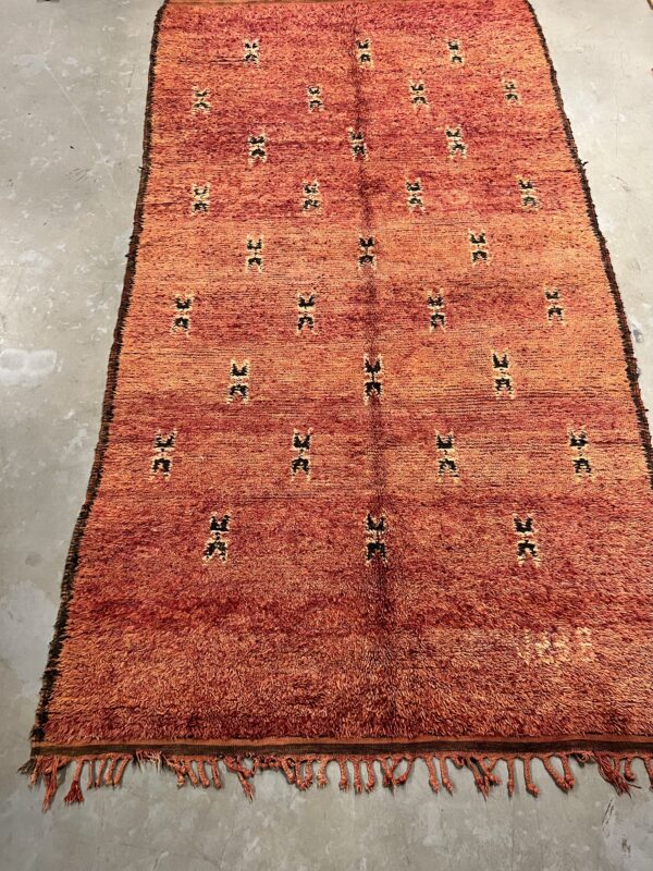 Beni Mguild Rug 348 x 187