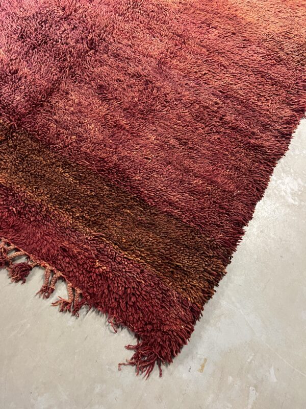 Beni Mguild Rug 394 x 198 - Image 5