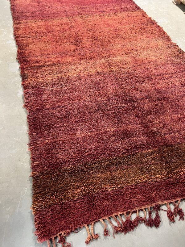 Beni Mguild Rug 394 x 198 - Image 6