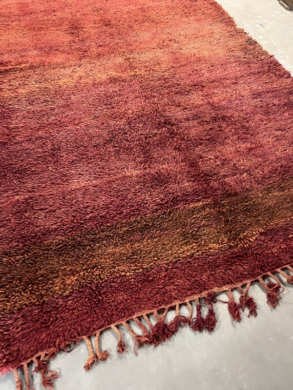 Beni Mguild Rug 394 x 198 - Image 4