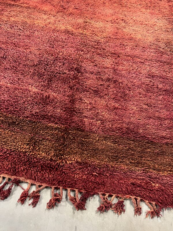 Beni Mguild Rug 394 x 198 - Image 3