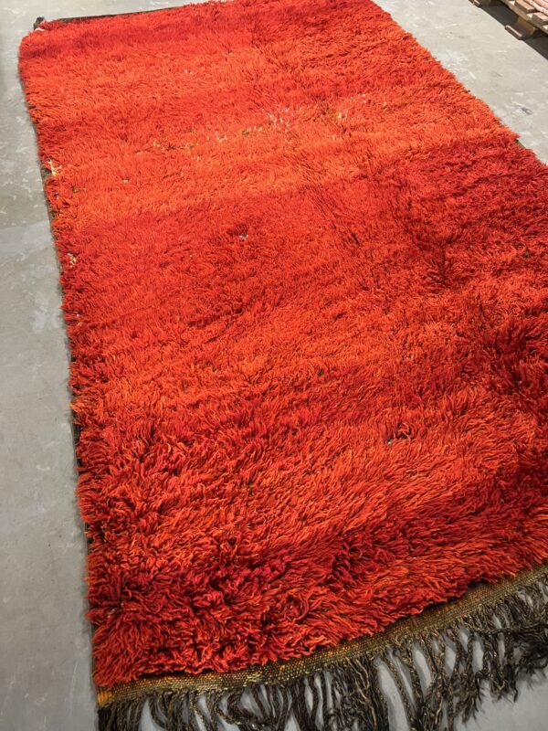 Beni Mguild Rug 328 x 192 - Image 3